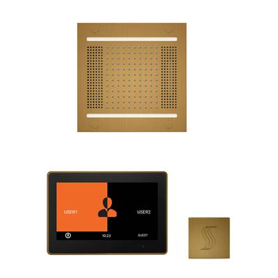 ThermaSol WH14STP10S-AB - The Wellness Hydrovive14 Steam Package With 10'' Thermatouch Square