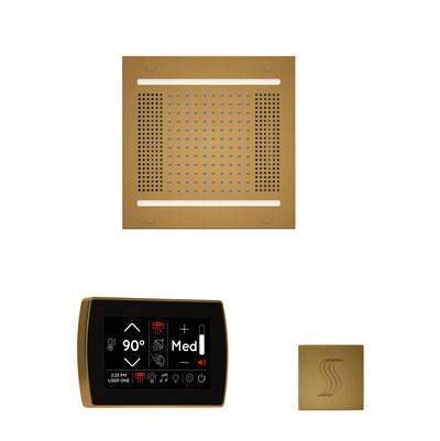 ThermaSol WH14STPSS-AB - The Wellness Hydrovive14 Steam Package With Signatouch Square