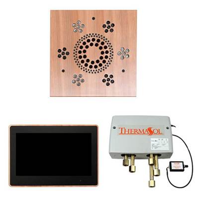 ThermaSol WSP10S-ACOP - The Wellness Shower Package With 10'' Thermatouch Square