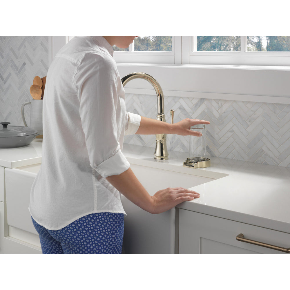 Delta GR250-PN- Metal Glass Rinser (Polished Nickel)