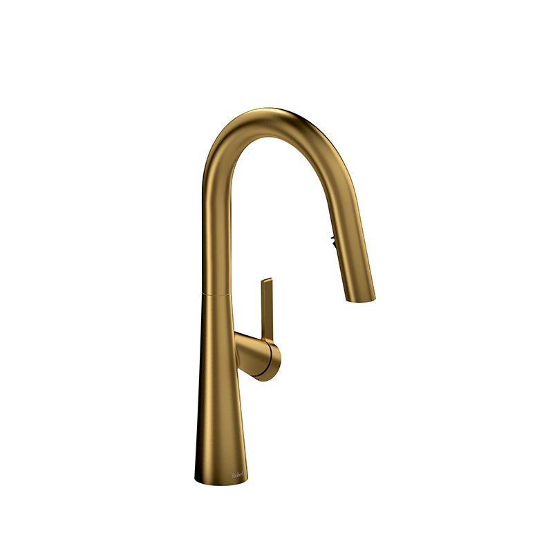 Riobel LK101BG- Ludik kitchen faucet with spray | FaucetExpress.ca