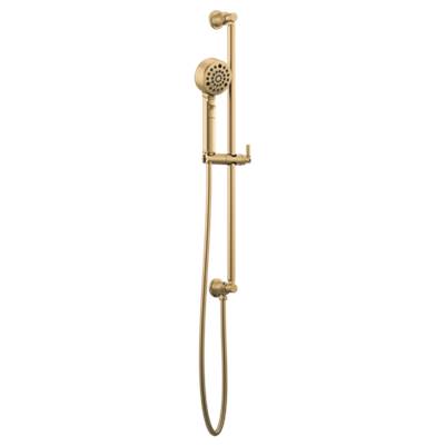 Brizo 88776-GL- H2Okinetic Multi-Function Slide Bar Handshower | FaucetExpress.ca