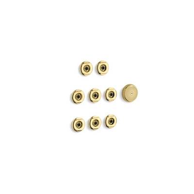 Kohler 9698-PB- Flexjet® Whirlpool trim kit with eight jets | FaucetExpress.ca