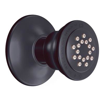 Moen A501WR- Body Spray for M-PACT System, Wrought Iron