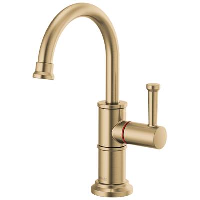 Brizo 61325LF-H-GL- Instant Hot Beverage Faucet
