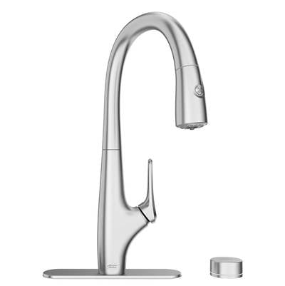 American Standard 4902330.075- Saybrook Pd Filter Faucet With Filter