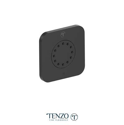 Tenzo BJ-305-BG - Quantum Recessed Body Jet Brushed Gold, 1 Unit