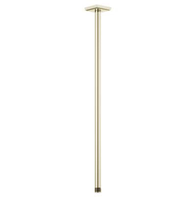 Brizo 83999-24-PN - 24" Ceiling Mount Shower Arm & Flange