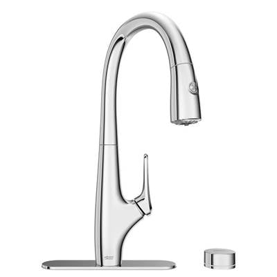 American Standard 4902330.002- Saybrook Pd Filter Faucet With Filter
