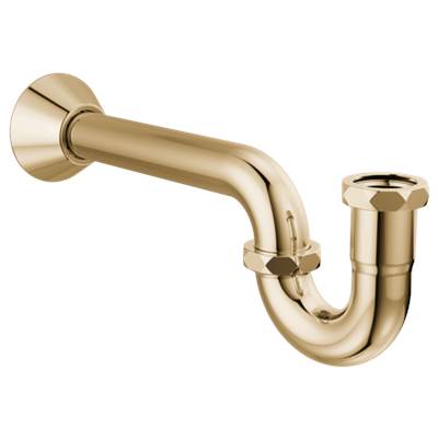 Brizo BT031141-PG - P-Trap