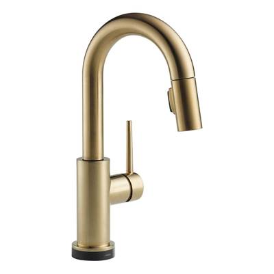 Delta 9959T-CZ-DST- Trinsic Pull-Down Bar/Prep Faucet W/T2O | FaucetExpress.ca