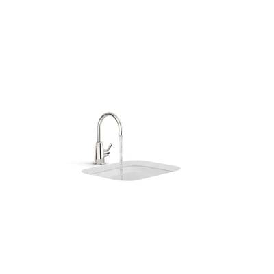 Kohler 6665-AG-SN- Wellspring® Beverage faucet | FaucetExpress.ca
