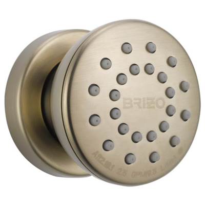 Brizo 84110-BN- Body Spray Brizo Custom Shower | FaucetExpress.ca