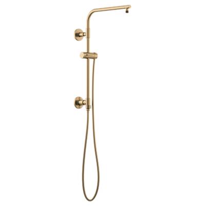 Brizo 80092-GL- Euro Round Shower Column | FaucetExpress.ca
