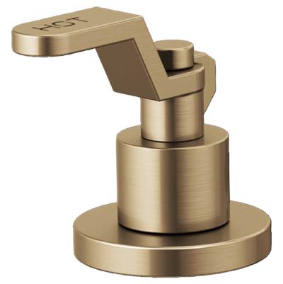 Brizo HL5334-GL- Lavatory Handle Kit - Industrial Lever | FaucetExpress.ca