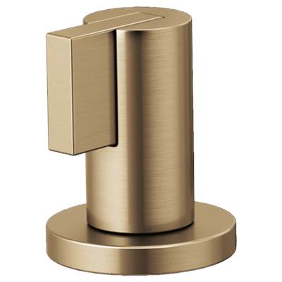 Brizo HL5332-GL- Lavatory Handle Kit - Lever. | FaucetExpress.ca
