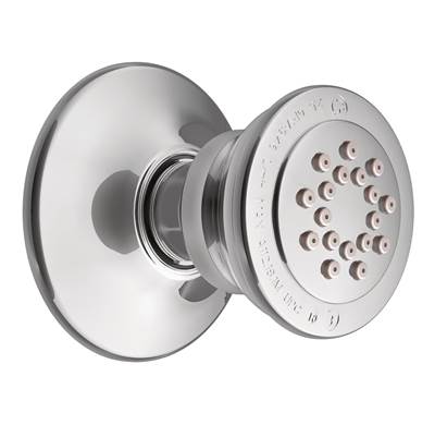 Moen A501- Body Sprayer in Chrome