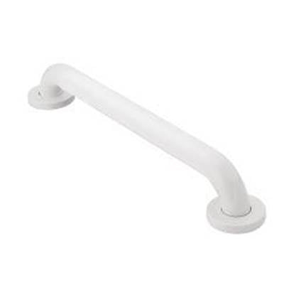Moen R8918W- Home Care Glacier 18'' Concealed Screw Grab Bar