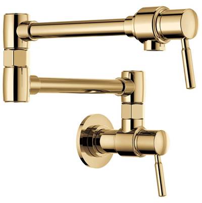 Brizo 62820LF-PG - Euro Pot Filler - Wall Mount