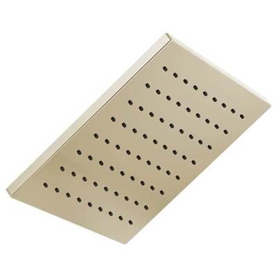Brizo 81399-PN - Square Raincan Showerhead