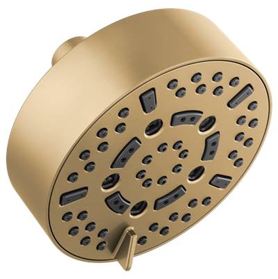 Brizo 87292-GL-2.5 - 5" Euro Rd Multifunction Showerhead