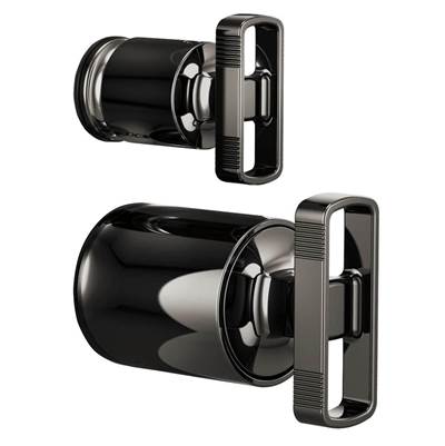 Brizo HK75P06-BNX- Pbal W/Int Div Trim Handle Kit - Knob