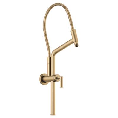 Brizo 81892-GL - Slidebar Shower Arm & Flange