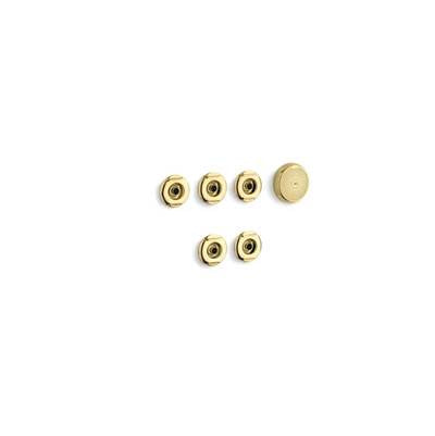 Kohler 9695-PB- Flexjet® Whirlpool trim kit with five jets | FaucetExpress.ca