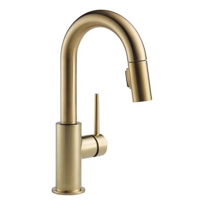 Delta 9959-CZ-DST- Trinsic Pull-Down Bar/Prep Faucet | FaucetExpress.ca