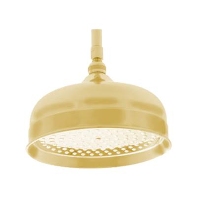 DISEGNO KN121010BG | FaucetExpress.ca