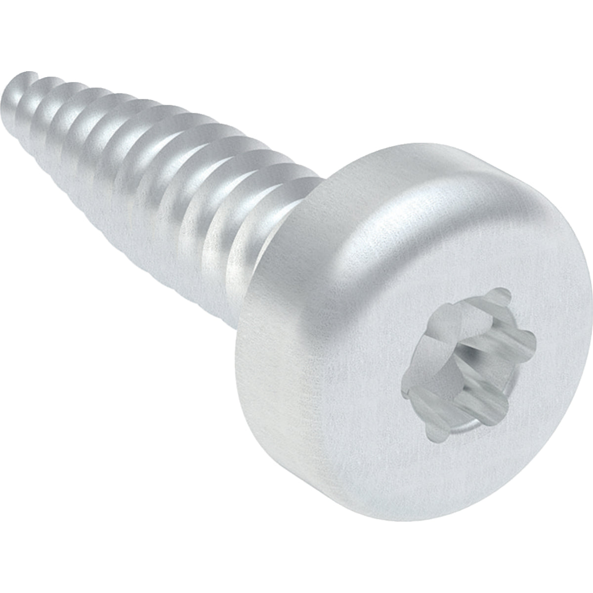 Geberit 111.926.00.1 - Geberit Duofix Flat-Head Screw T25, For Thin Sheet Metal