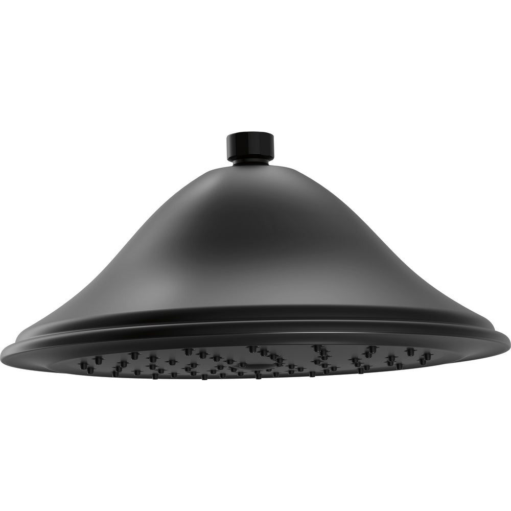 Delta RP72568BL - Shower Head