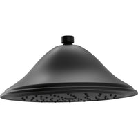Delta RP72568BL - Shower Head