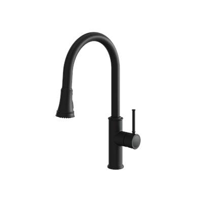 Aquabrass ABFK6845NEBK - 6845N Margherita P-Down 2 Stream Kit Fct