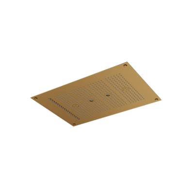 Aquabrass ABSCNN922BGD - Nn922 Cura Spa 22X15 Recessed Rain Head