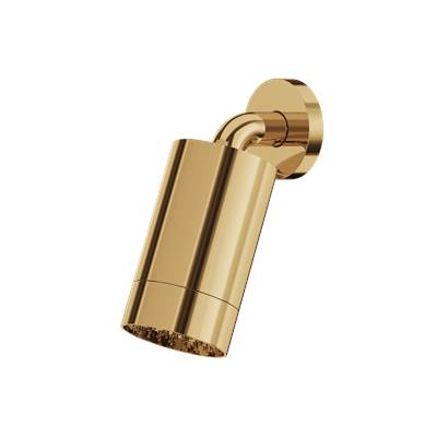 Aquabrass ABSCSPS67PGD - Sps67 Rainhead W/Wall Arm-Smooth Ring