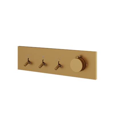 Aquabrass ABSTDI3WBGD - Di3W Dimmer 3 Way Shower Trim
