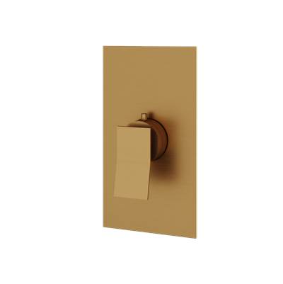 Aquabrass ABSTS3019BGD - S3019 Chicane Trim Set - T12000 Valve