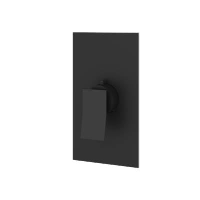 Aquabrass ABSTS3019BK - S3019 Chicane Trim Set - T12000 Valve