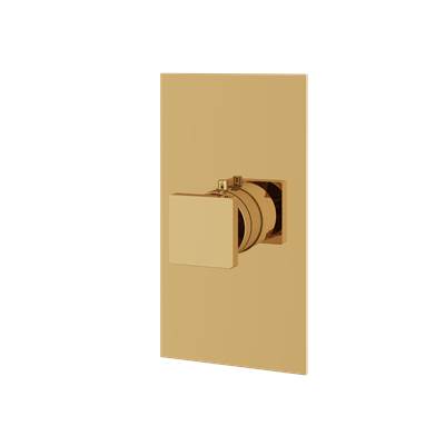 Aquabrass ABSTS3095PGD - S3095 Square Trim Set - T12000 Valve