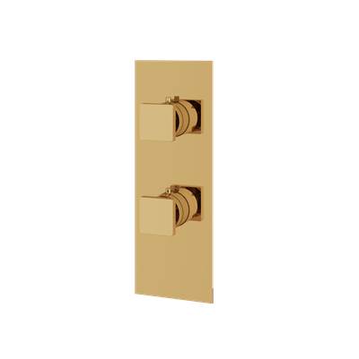 Aquabrass ABSTS8295PGD - S8295 Sq Trim Set- 2Wy Sha -T12123 Valve