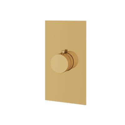 Aquabrass ABSTSR3095PGD - Sr3095 Sq/Round Trim Set - T12000 Valve