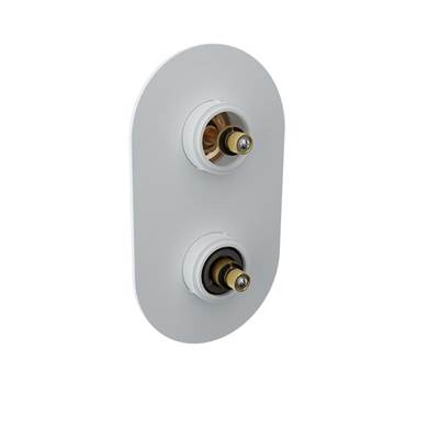 Baril T80-9521-01-BB-NS - Trim Only For Thermostatic Pressure-Balanced Shower Control Valve With 2-Way Diverter (Without Handle / Shared Port)