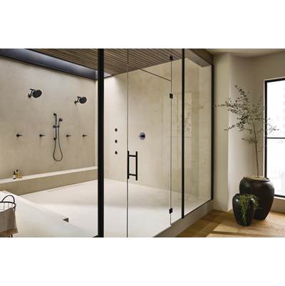 Brizo 88735-BLSL - Slide Bar With Handshower De Bar 3S