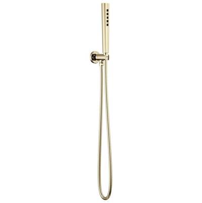 Brizo RP100439PN - Handshower