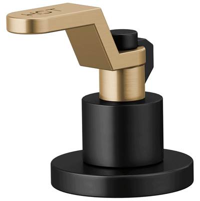 Brizo HL5334-BLGL-NM - Lavatory Handle Kit - Industrial Lever