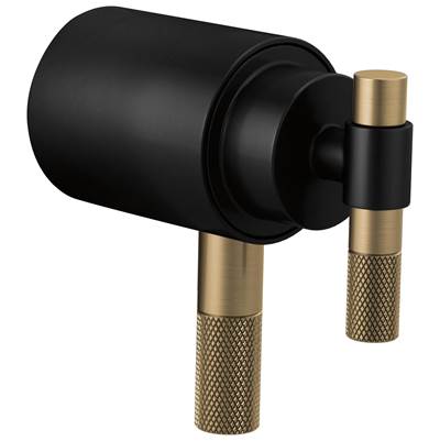 Brizo HL6033-BLGL - Tempassure Thermostatic Trim Handle Kit - T-Lever