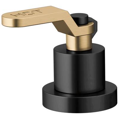 Brizo HL634-BLGL - Roman Tub Handle Kit - Industrial Lever