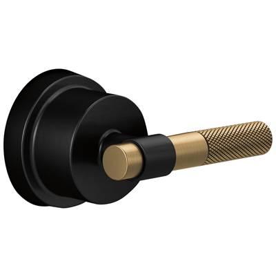 Brizo HL6633-BLGL - Sensori Thermostatic Valve Trim Handle Kit - T-Lever