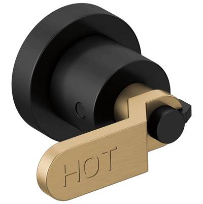 Brizo HL70434-BLGL - Two-Handle Wall Mount Tub Filler Handle Kit - Industrial Lev